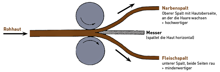 Grafik Spalten der Haut